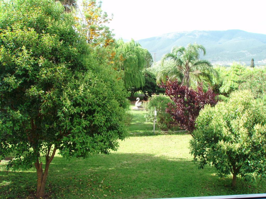 Finikes Studios Kefalonia Сами Екстериор снимка